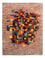 Gabbeh Teppich - Loribaft Perser - Royal - 203 x 153 cm - mehrfarbig