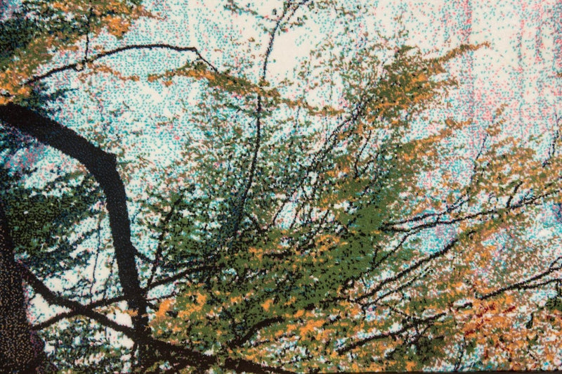 Bild-Teppich 113 x 64 cm Teppichbrücke