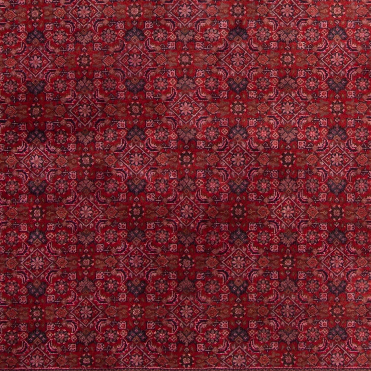 Orientteppich - Bidjar - Indus 300 x 200 cm