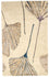 Designer Teppich 243 x 152 cm Teppich Wohnzimmer