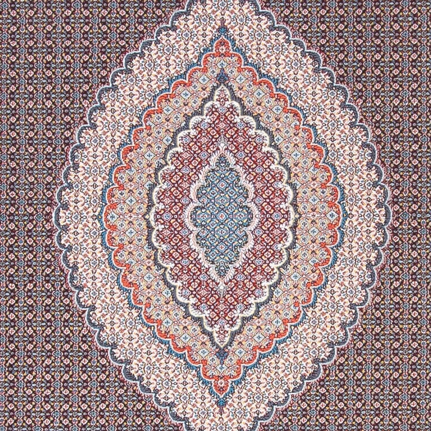 DKBL7-7009-300x200