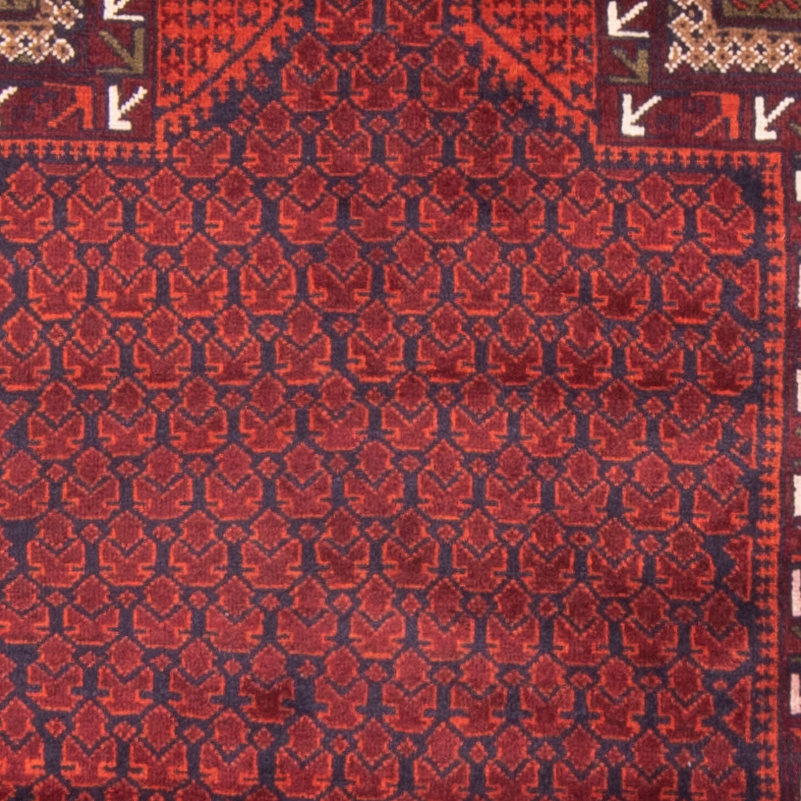 Belutsch Teppich - Gebetsteppich - 150 x 96 cm - rot
