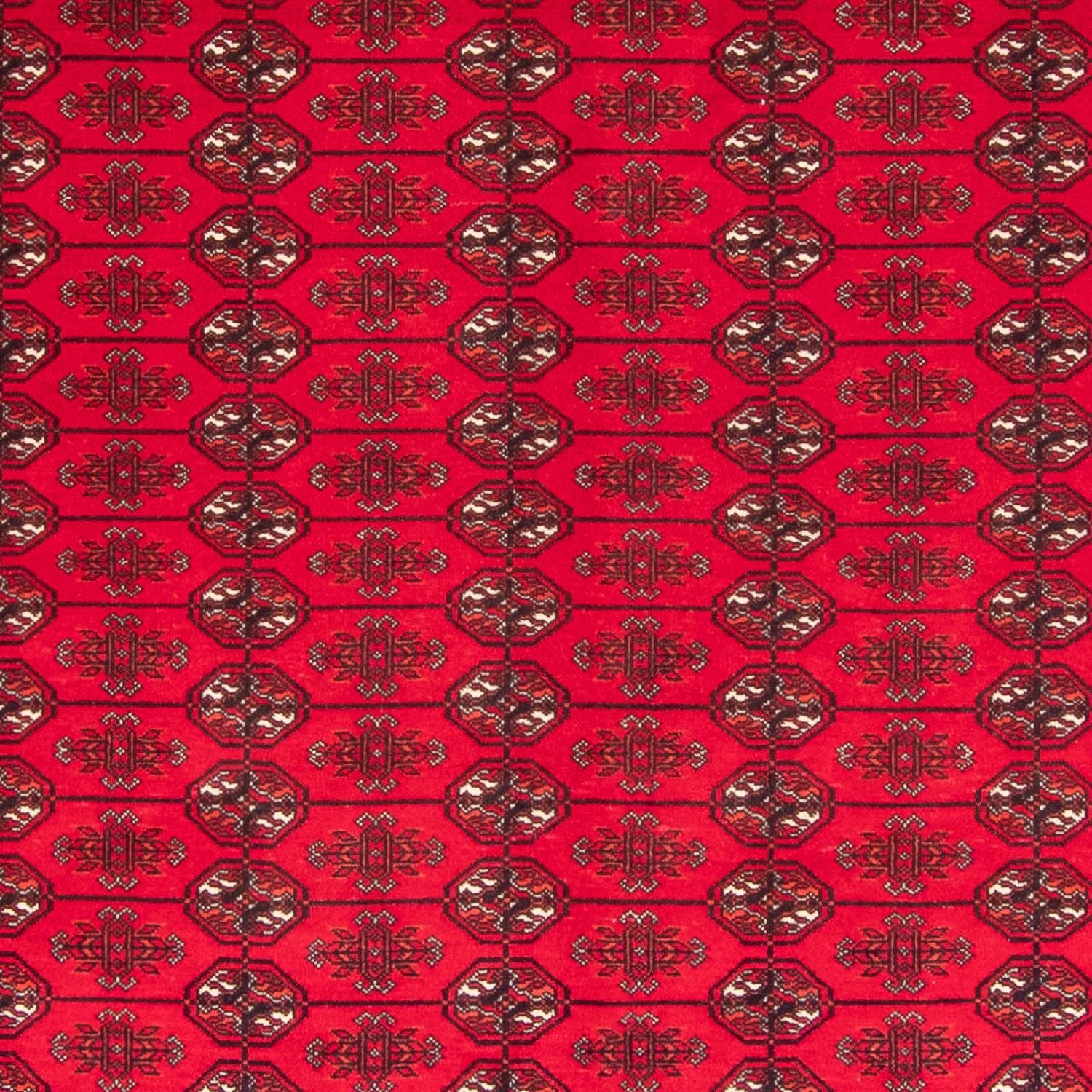 Afghan Teppich - Buchara - 282 x 200 cm - rot