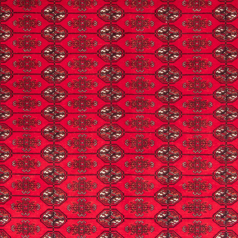 Afghan Teppich - Buchara - 282 x 200 cm - rot