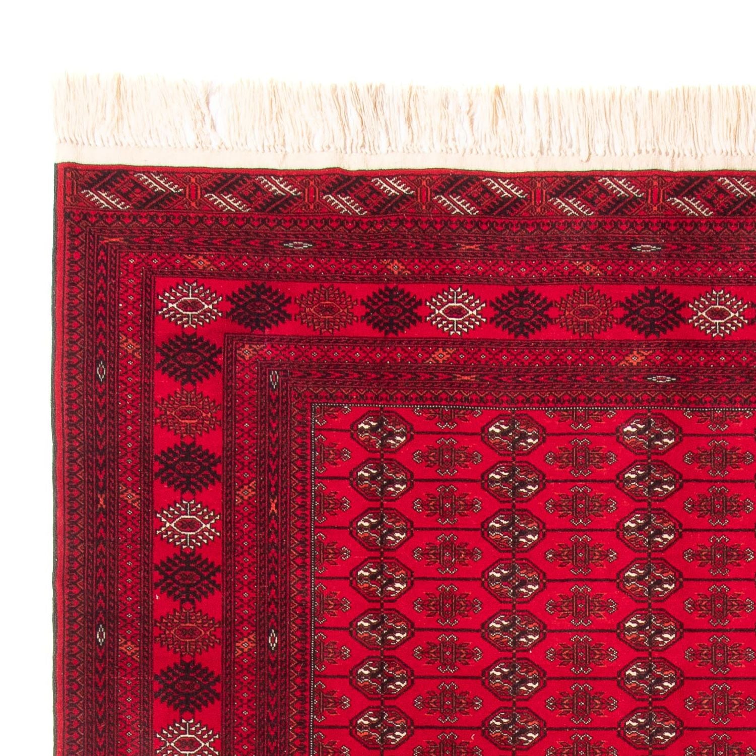 Afghan Teppich - Buchara - 282 x 200 cm - rot