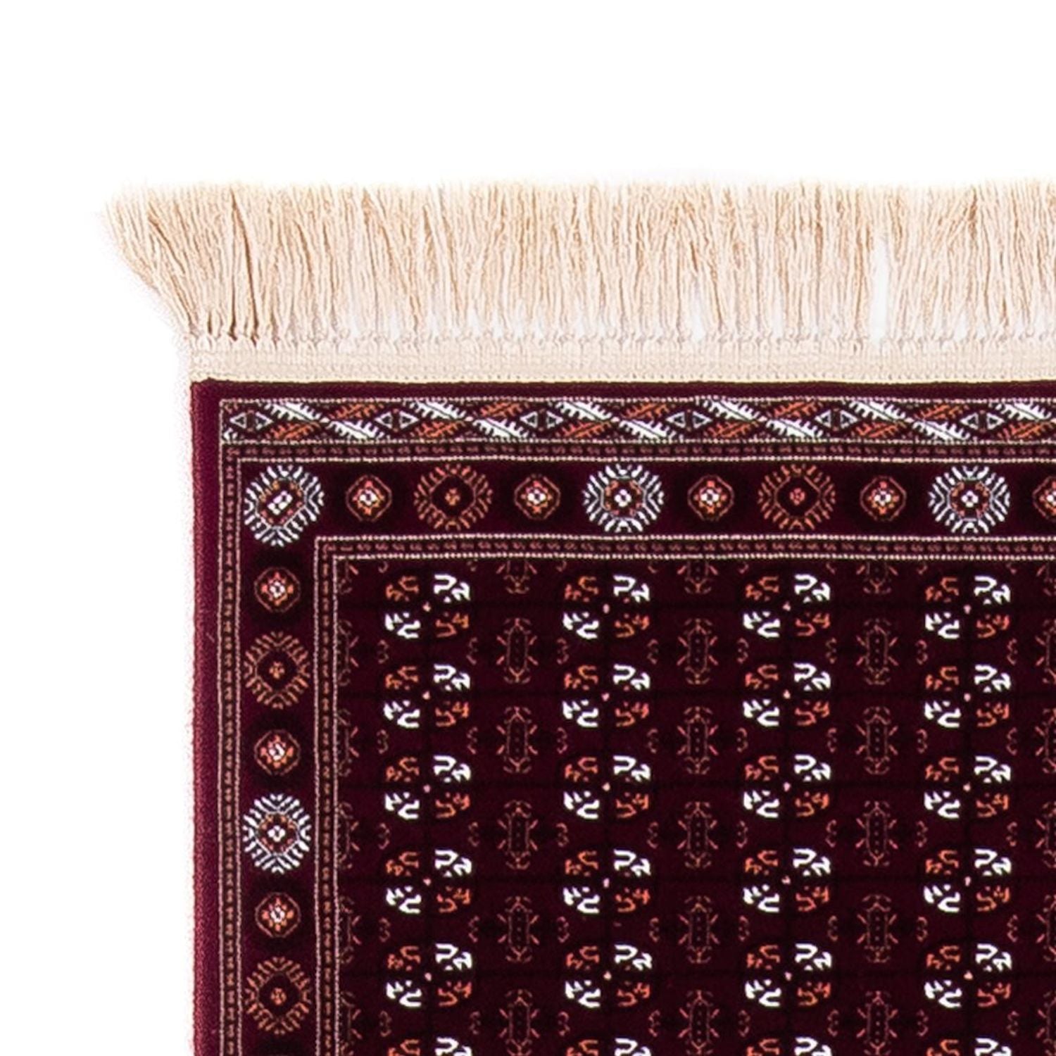 RD12-Afghan-300x100