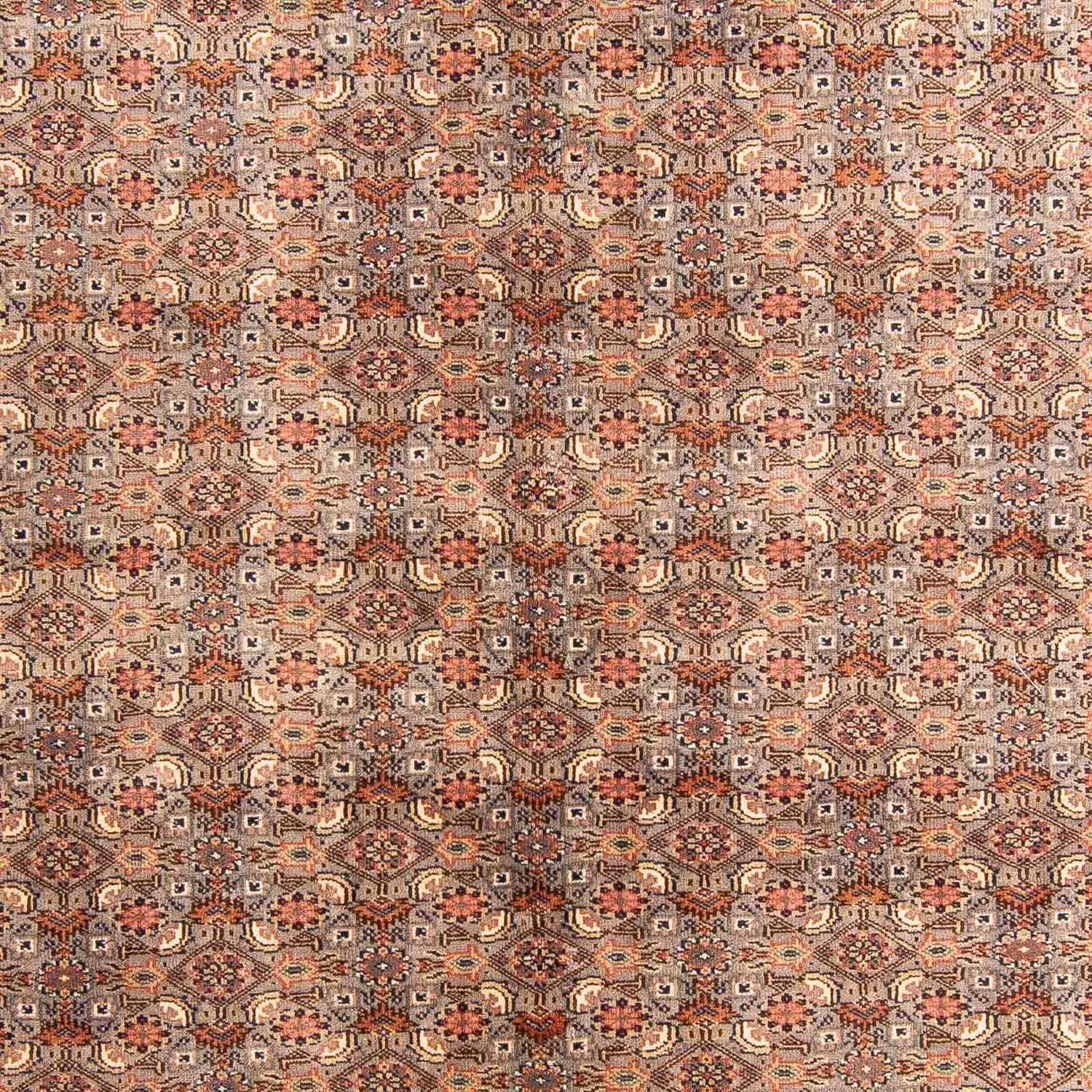 Orientteppich - Bidjar - Indus 233 x 181 cm
