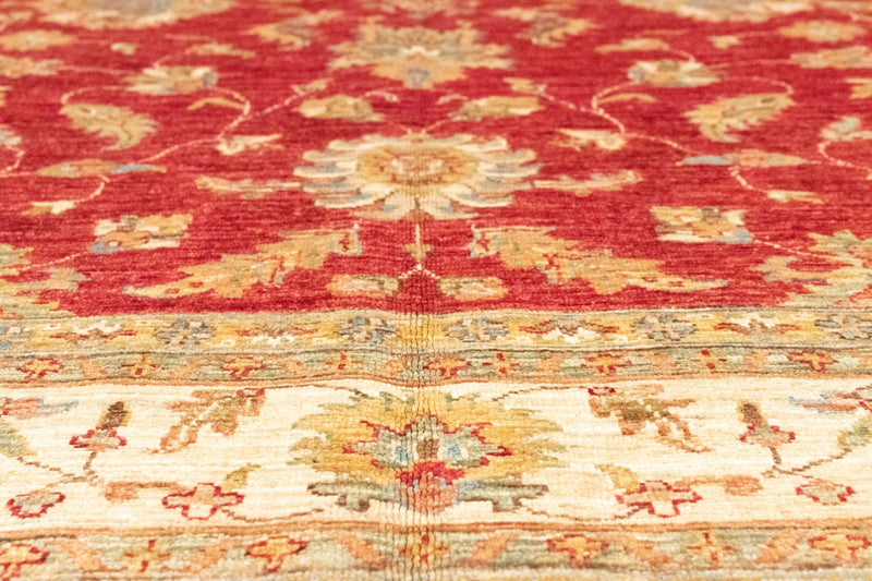 Ziegler Teppich 242 x 170 cm