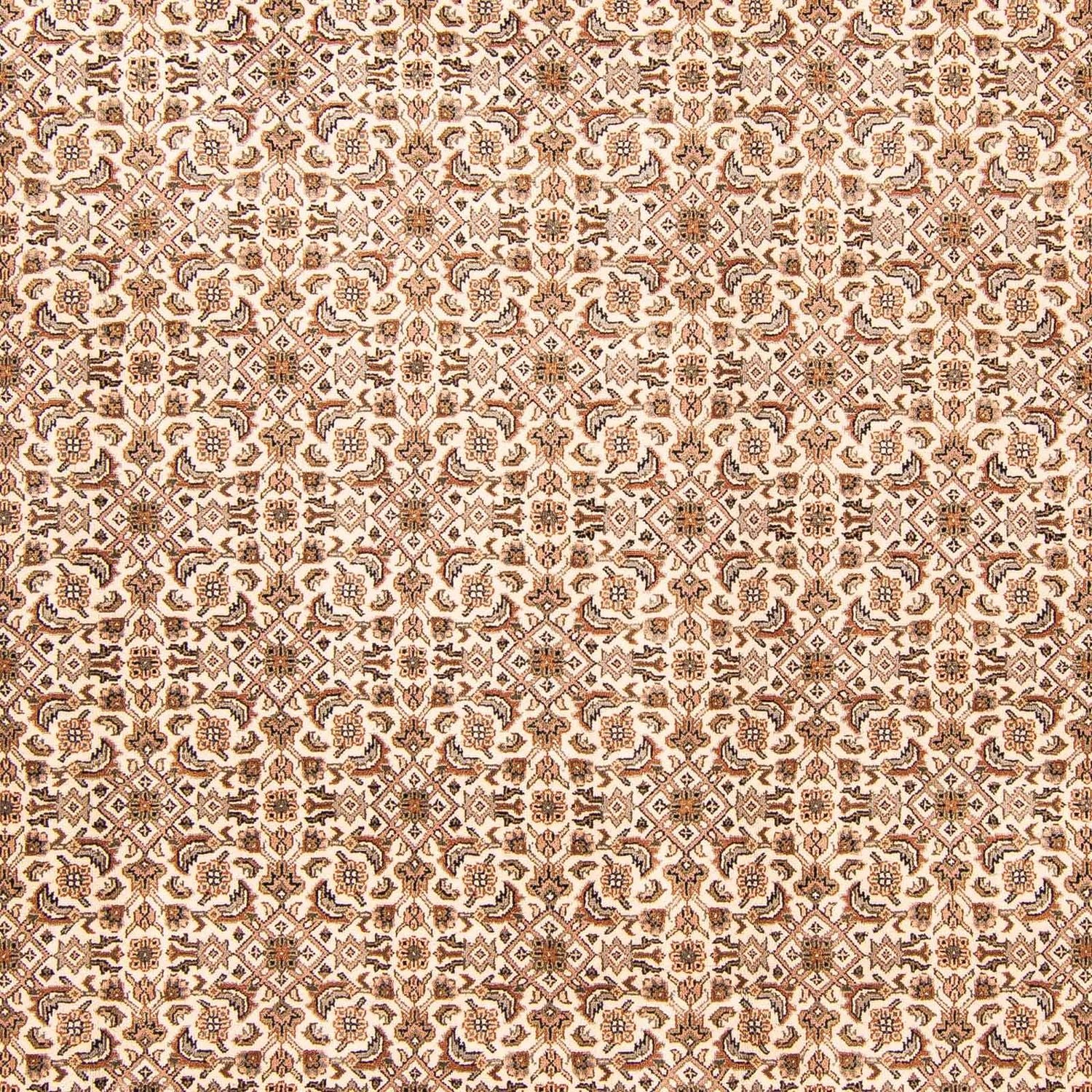 Orientteppich - Bidjar - Indus 303 x 248 cm