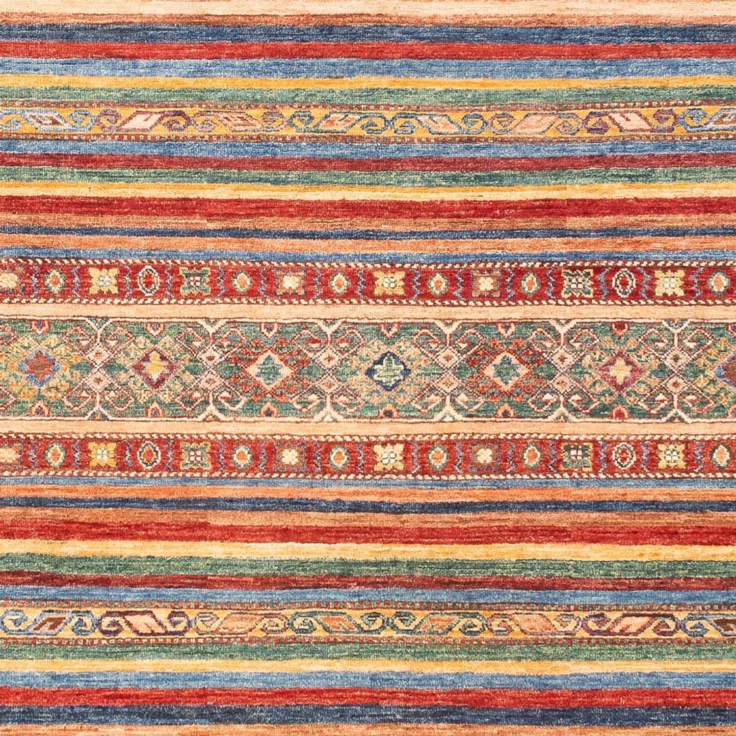 Ziegler Teppich - Shal - 270 x 179 cm - m