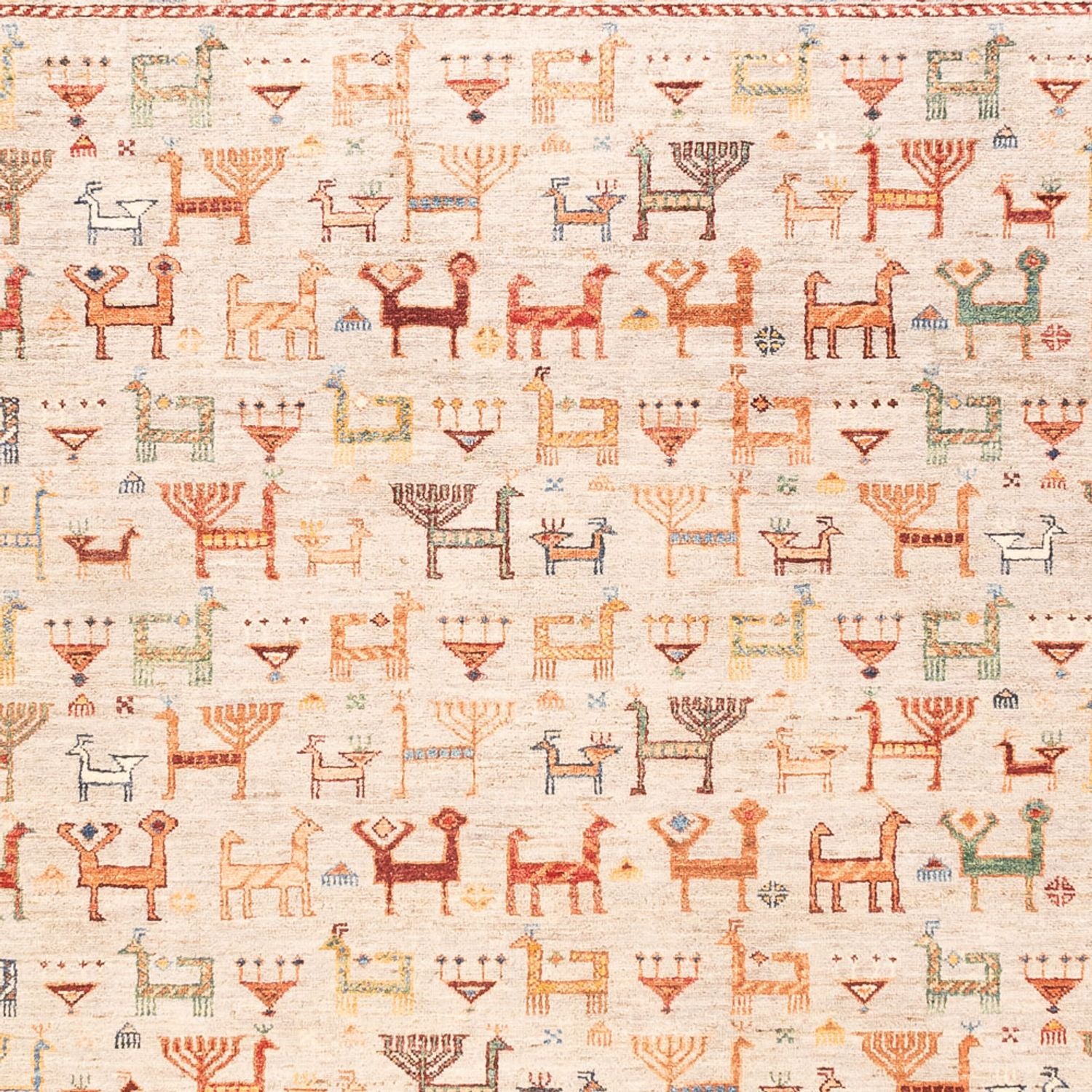 Ziegler Teppich - Ariana - 300 x 207 cm - rosa