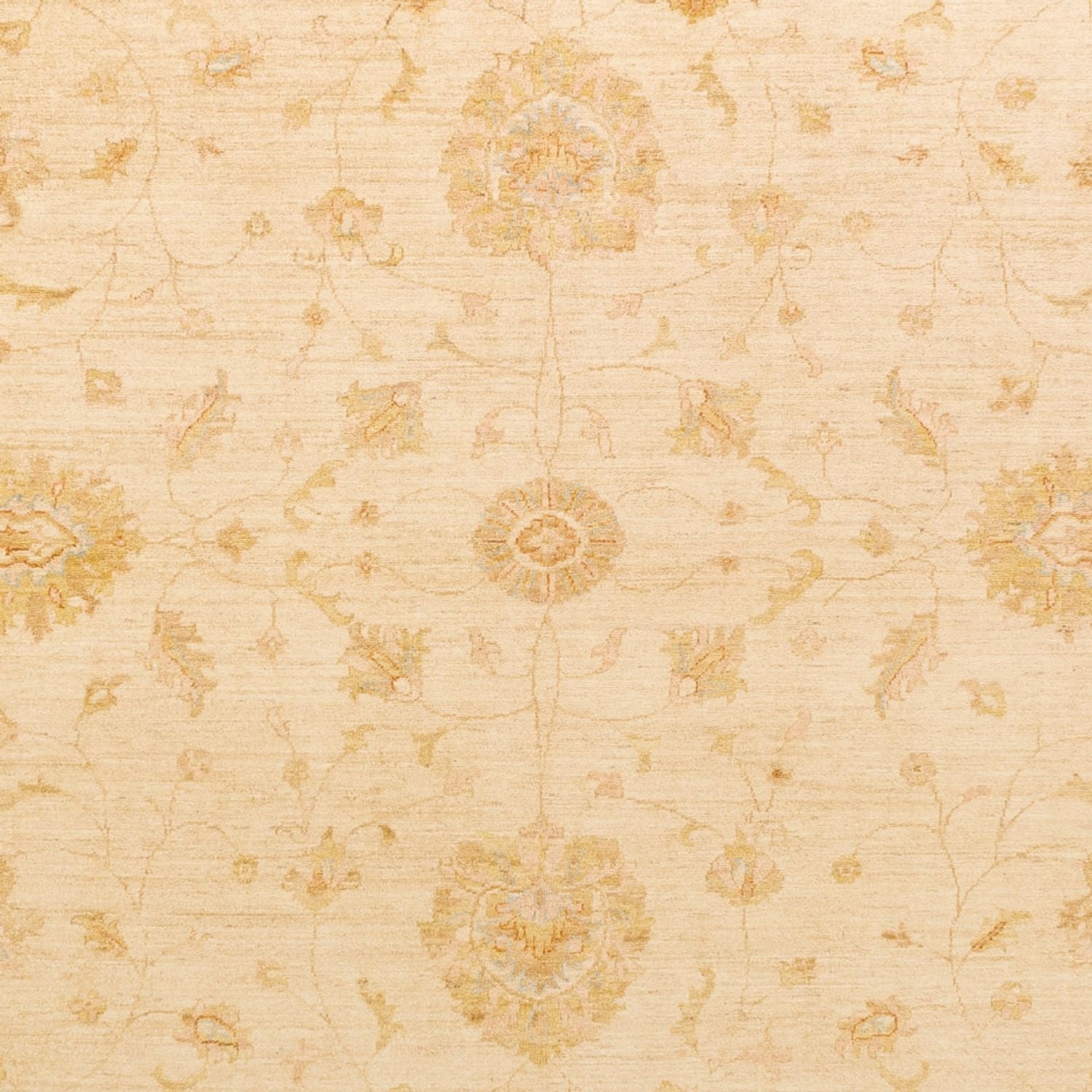 Ziegler Teppich - 396 x 305 cm - beige