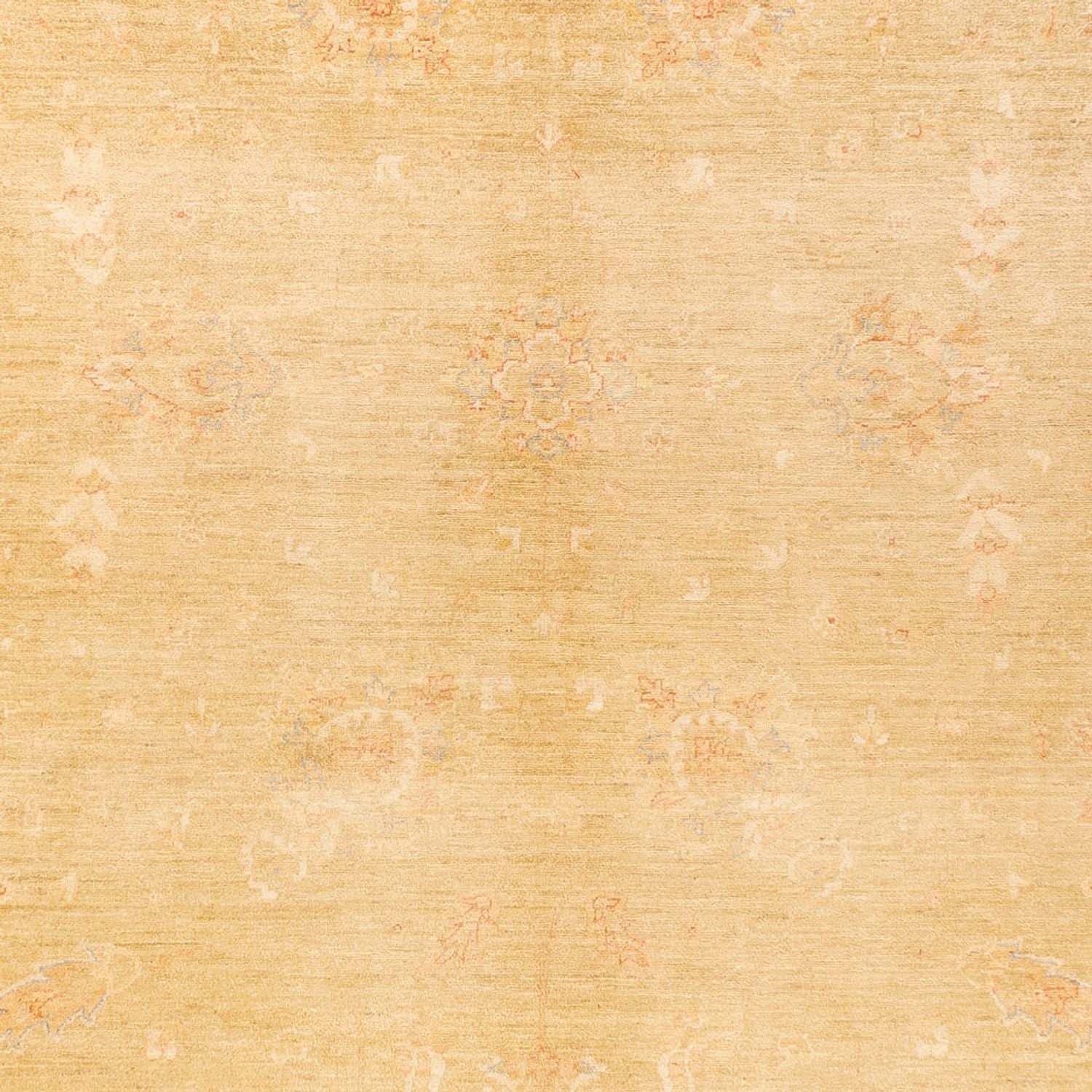 Ziegler Teppich - 394 x 290 cm - beige