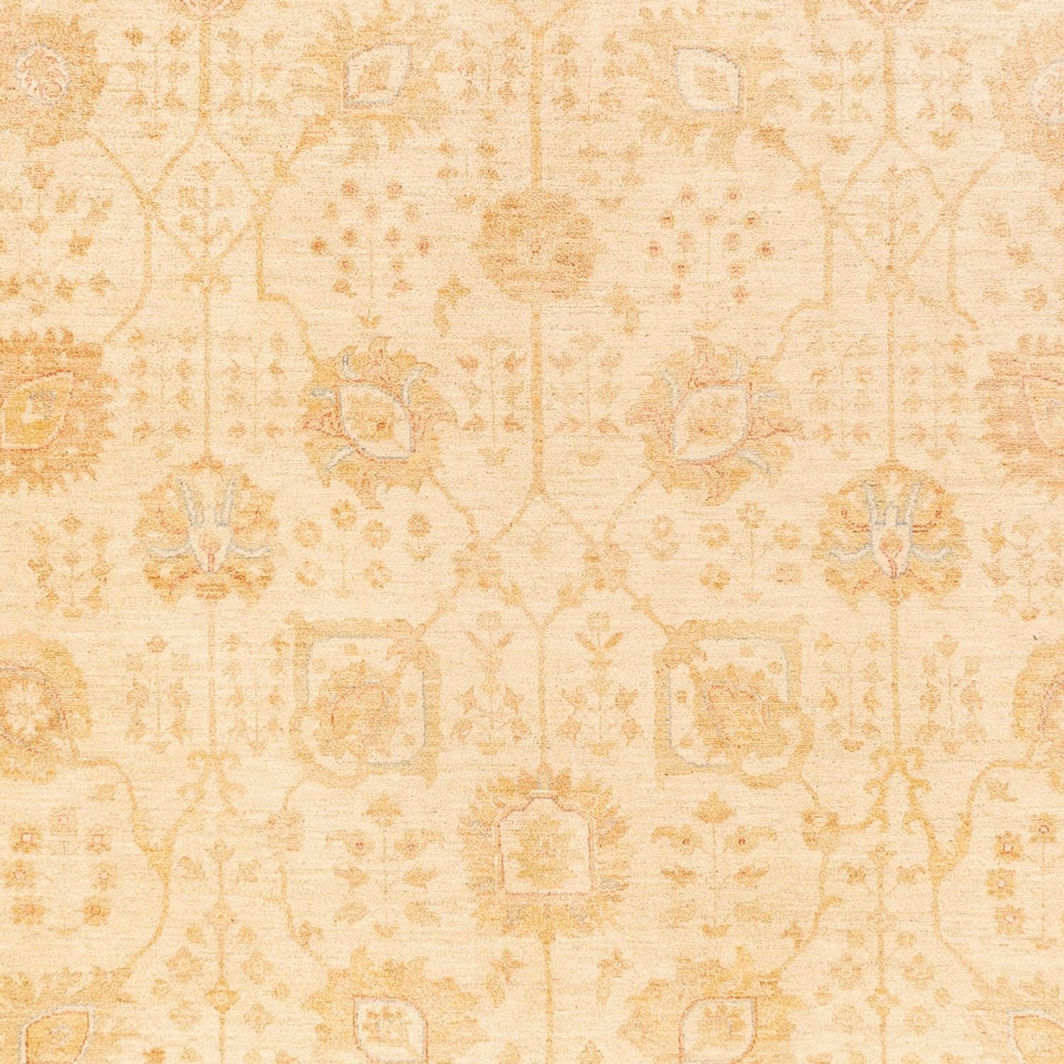 Ziegler Teppich - 400 x 305 cm - beige
