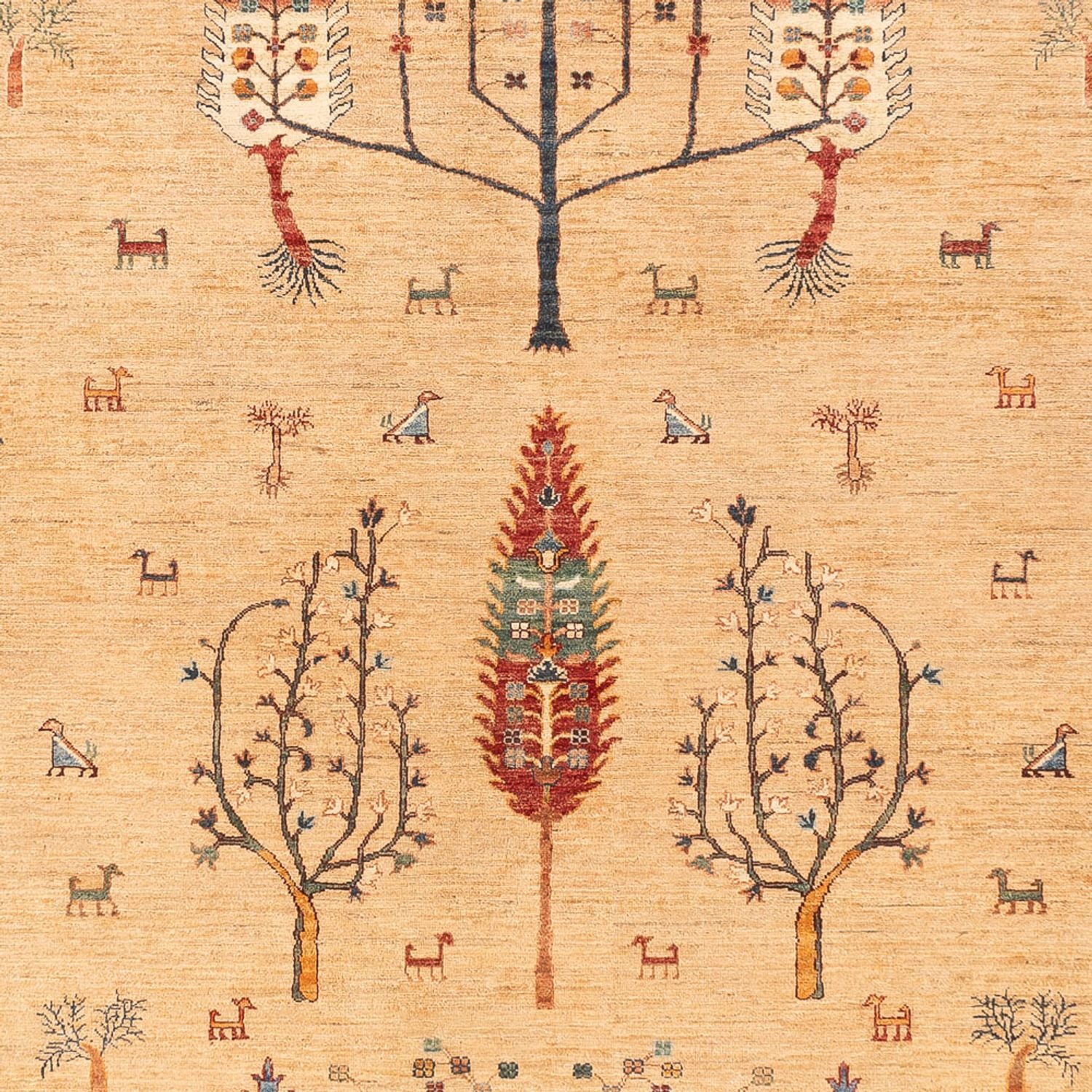 Ziegler Teppich - Ariana - 388 x 298 cm - beige
