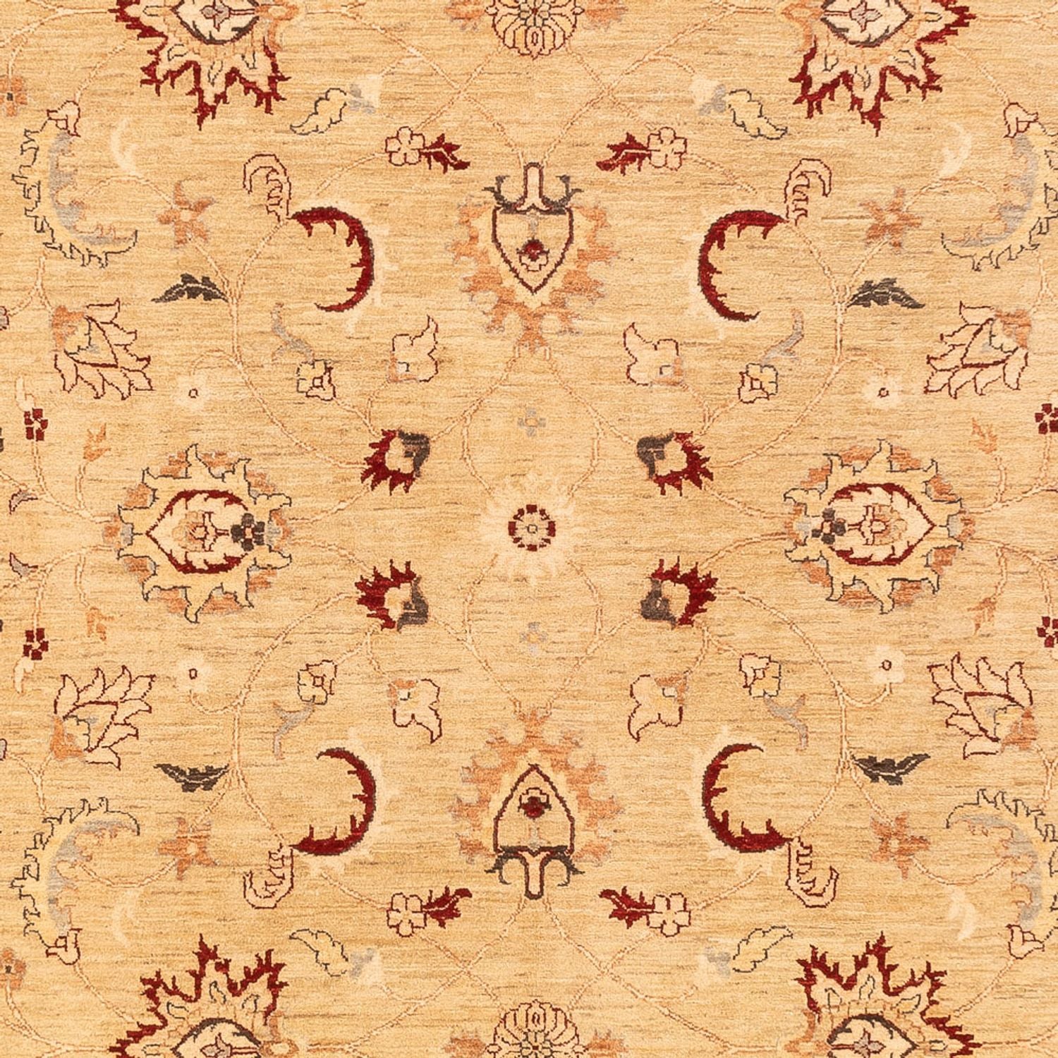 Ziegler Teppich - 383 x 271 cm - beige