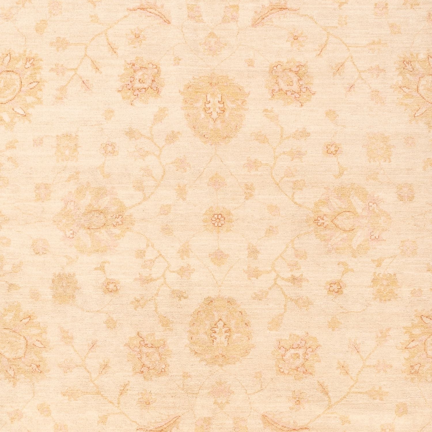 Ziegler Teppich - 365 x 270 cm - beige