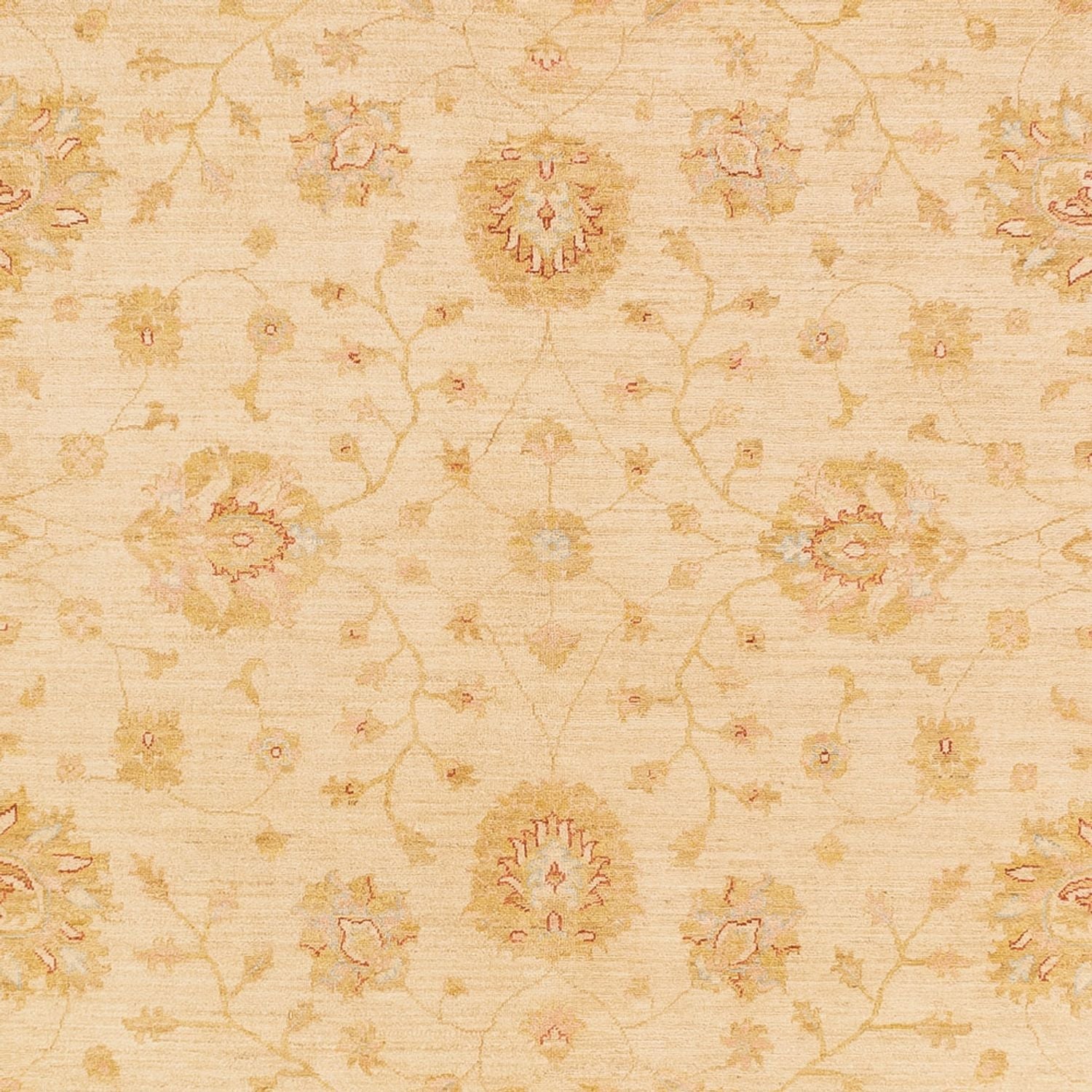 Ziegler Teppich - 365 x 273 cm - beige