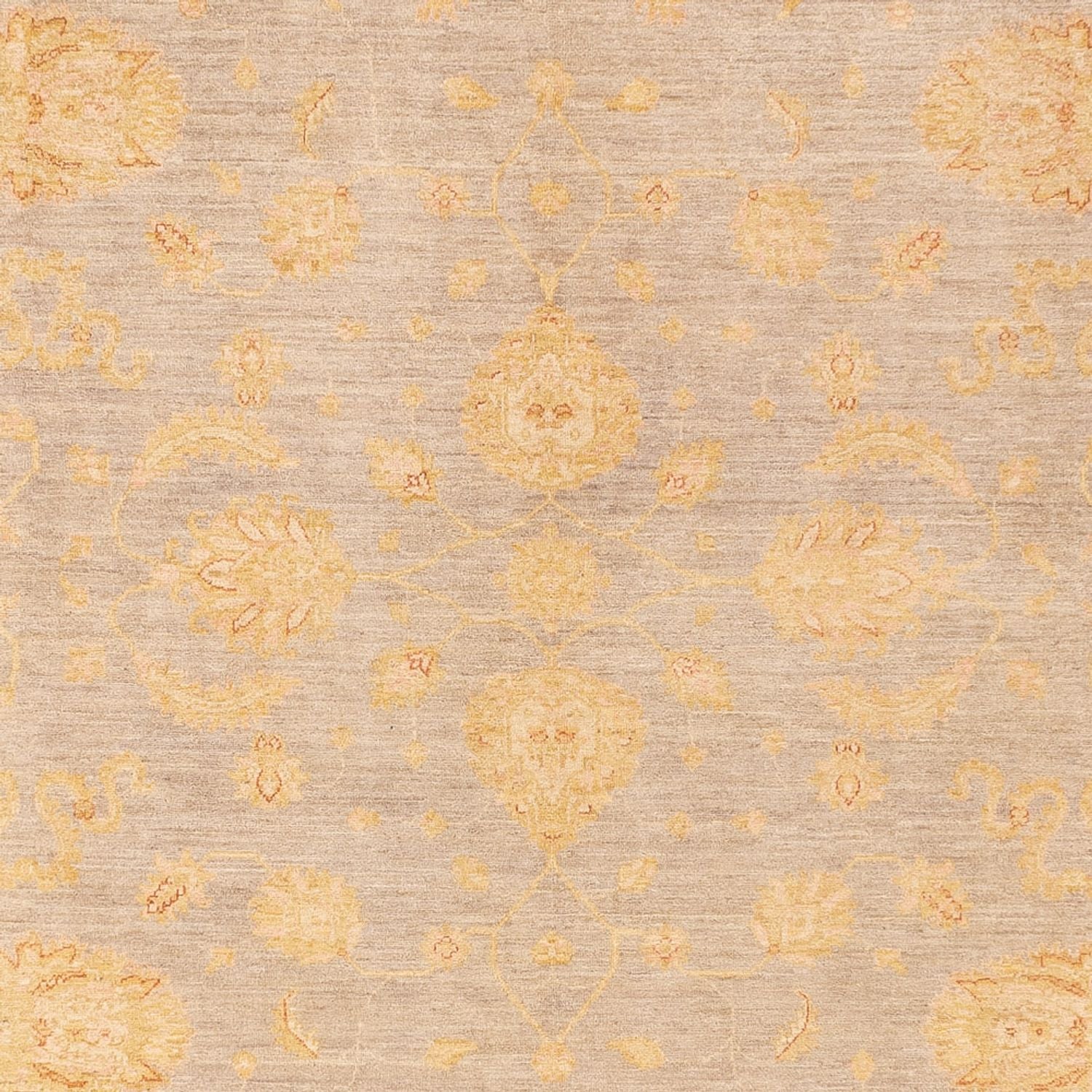 Ziegler Teppich - 360 x 271 cm - dunkelbeige