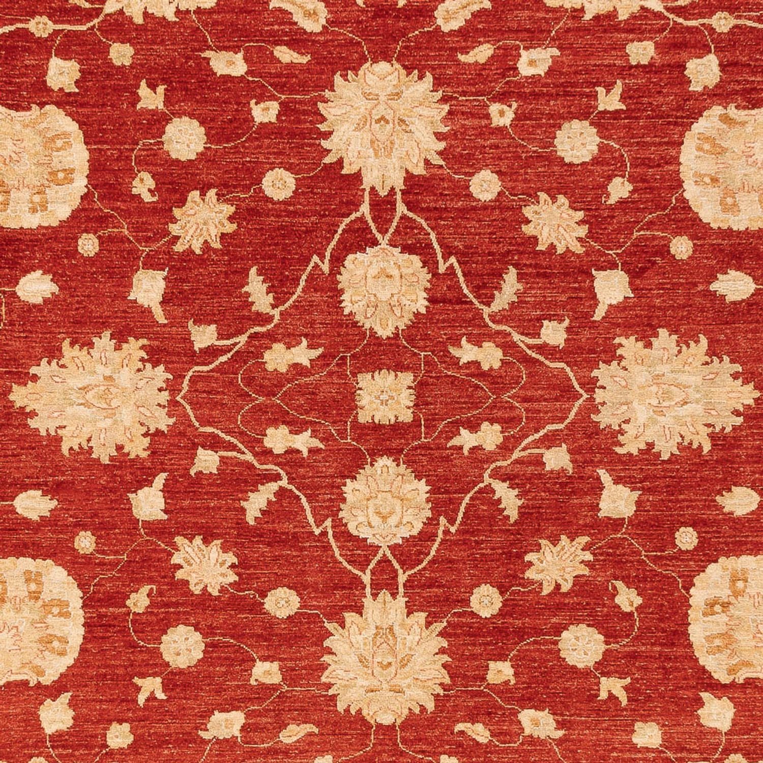 Ziegler Teppich - 360 x 268 cm - rot