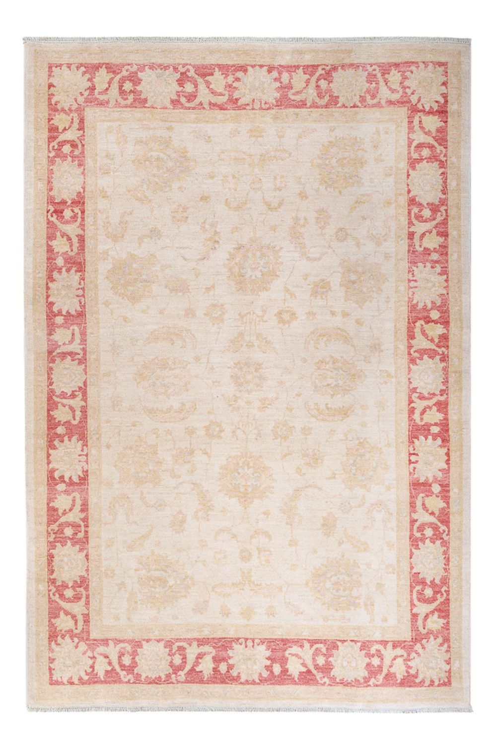 Ziegler Teppich - 240 x 162 cm - creme