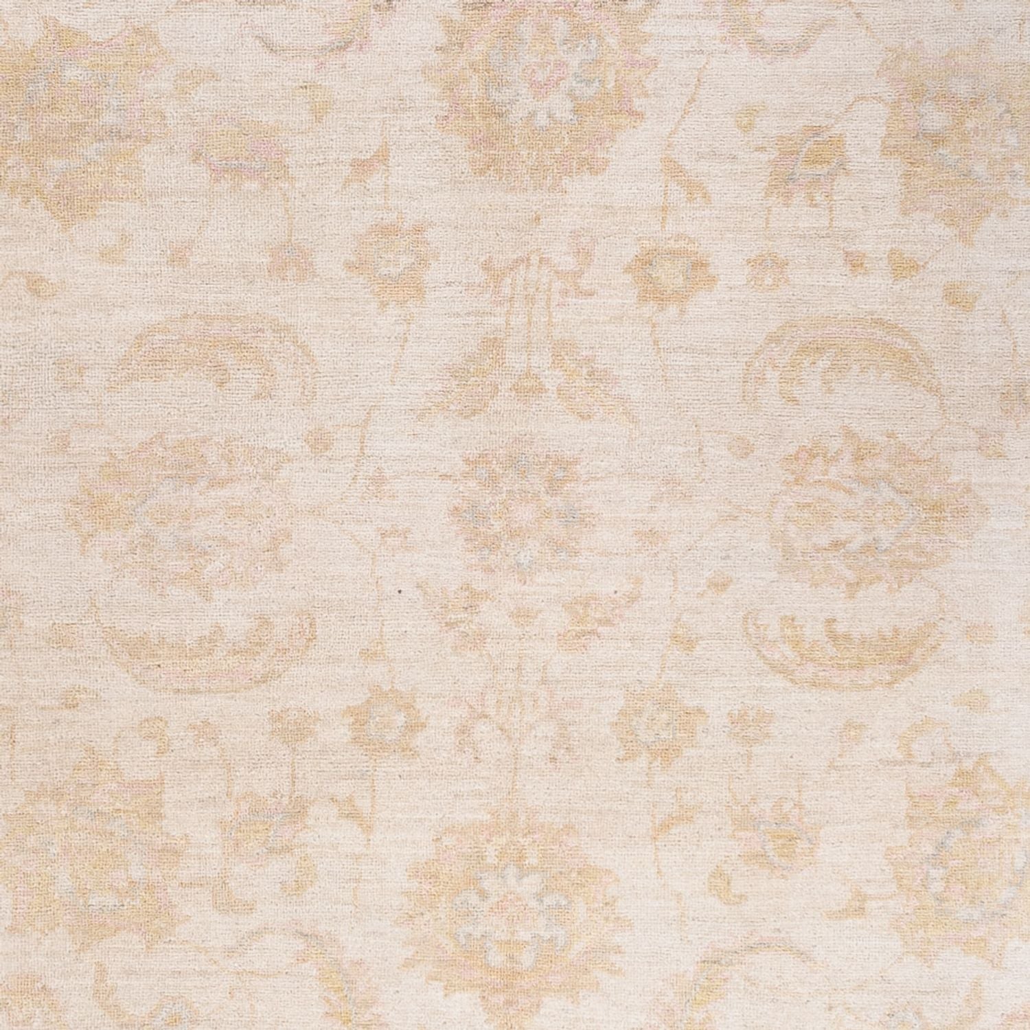Ziegler Teppich - 240 x 162 cm - creme