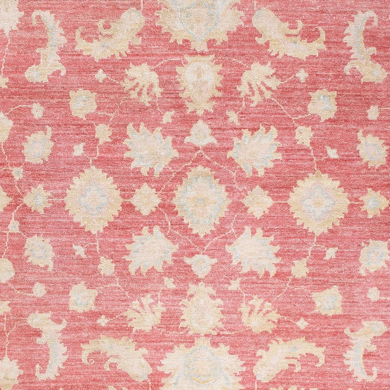 Ziegler Teppich - 245 x 175 cm - rot