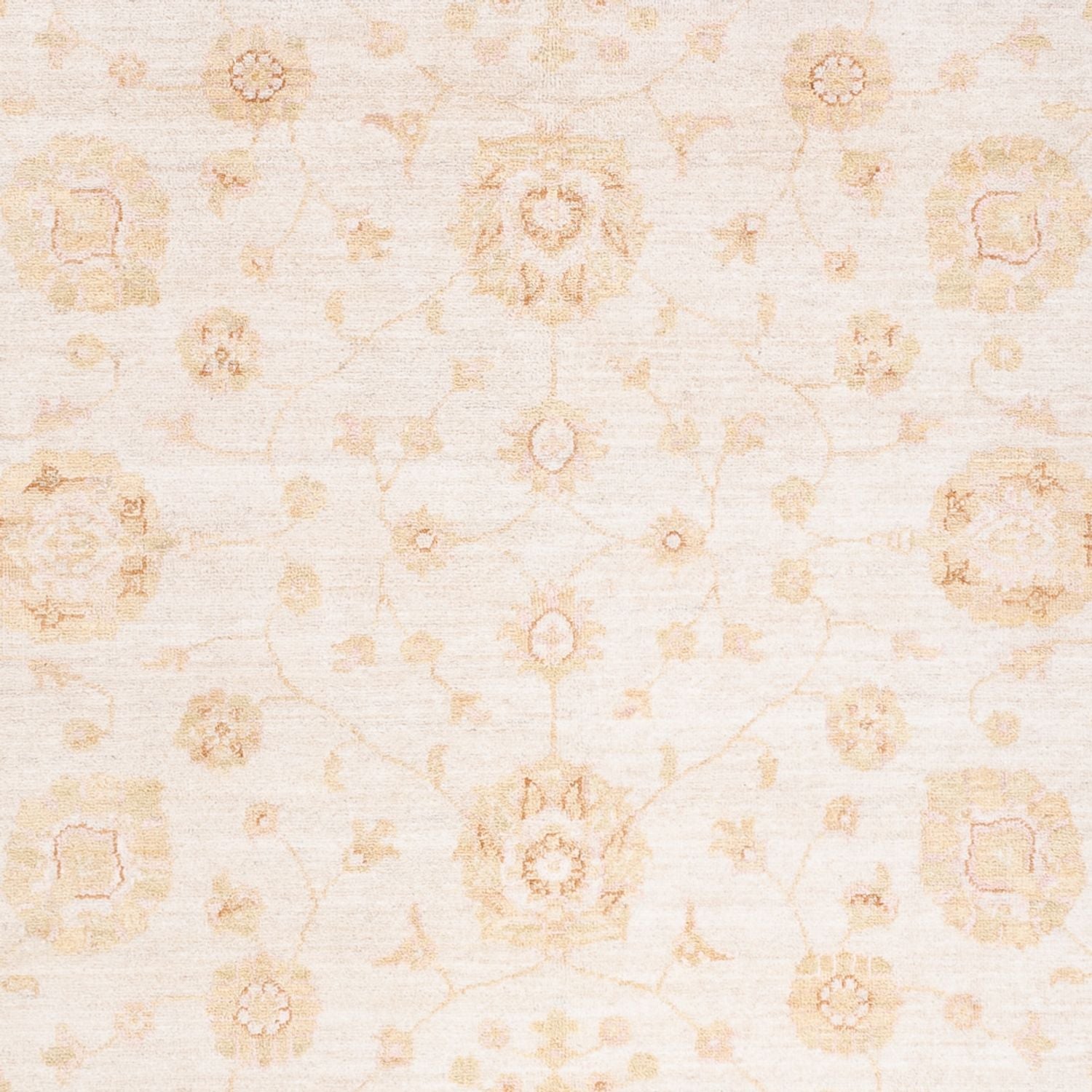 Ziegler Teppich - 240 x 171 cm - creme