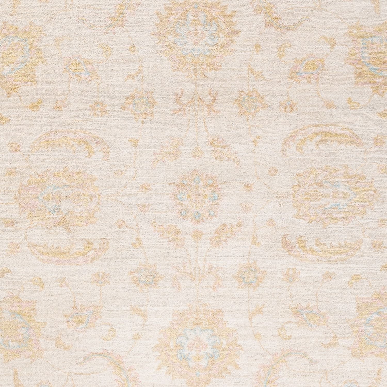 Ziegler Teppich - 238 x 168 cm - creme