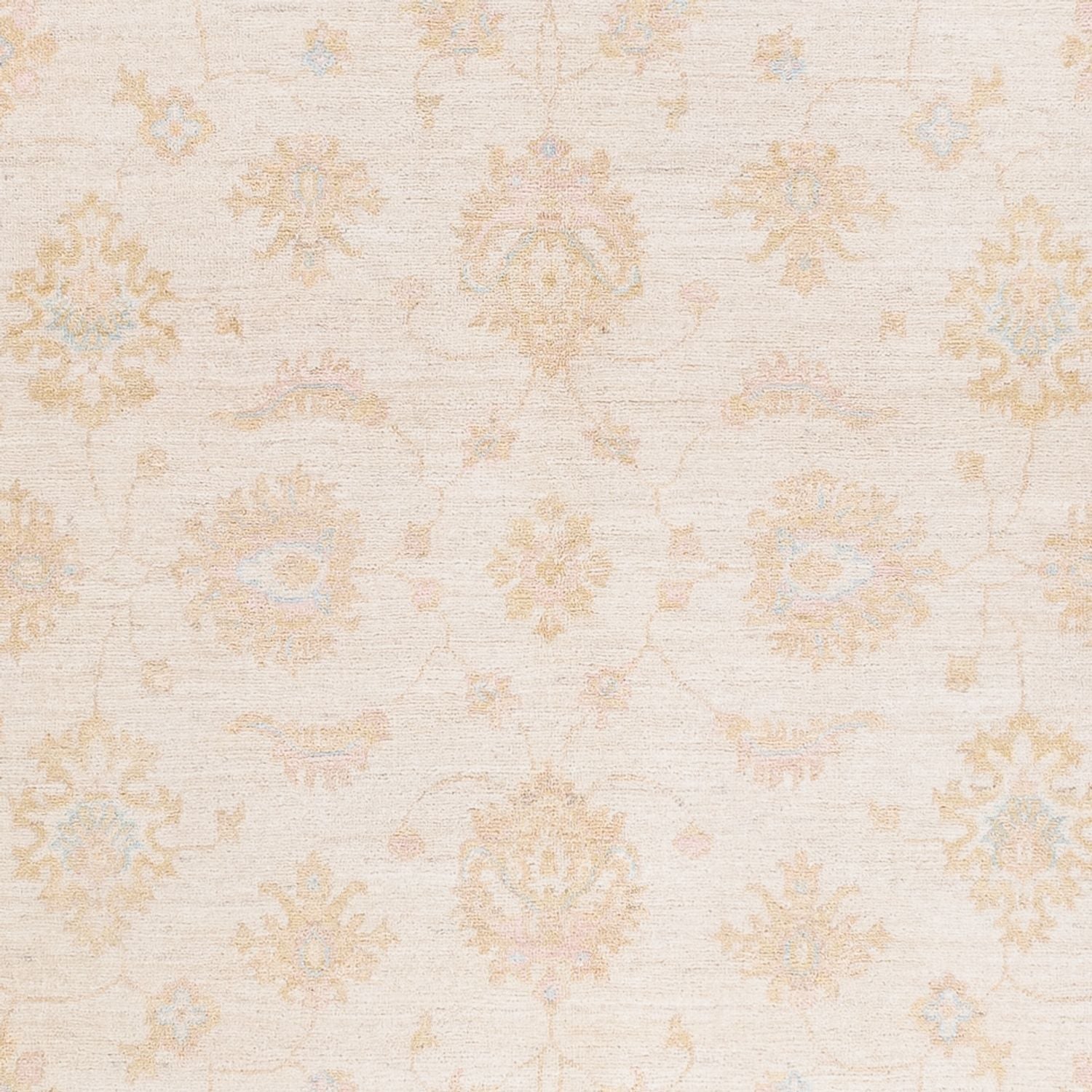 Ziegler Teppich - 240 x 175 cm - creme