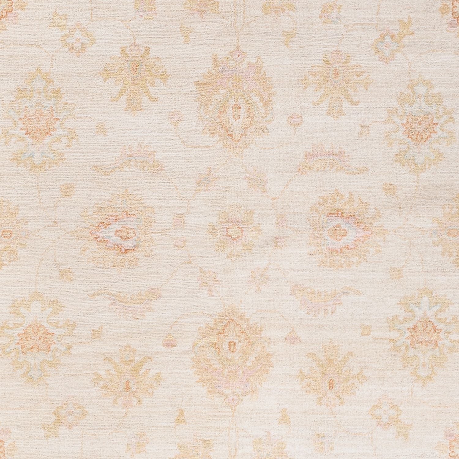 Ziegler Teppich - 257 x 173 cm - creme