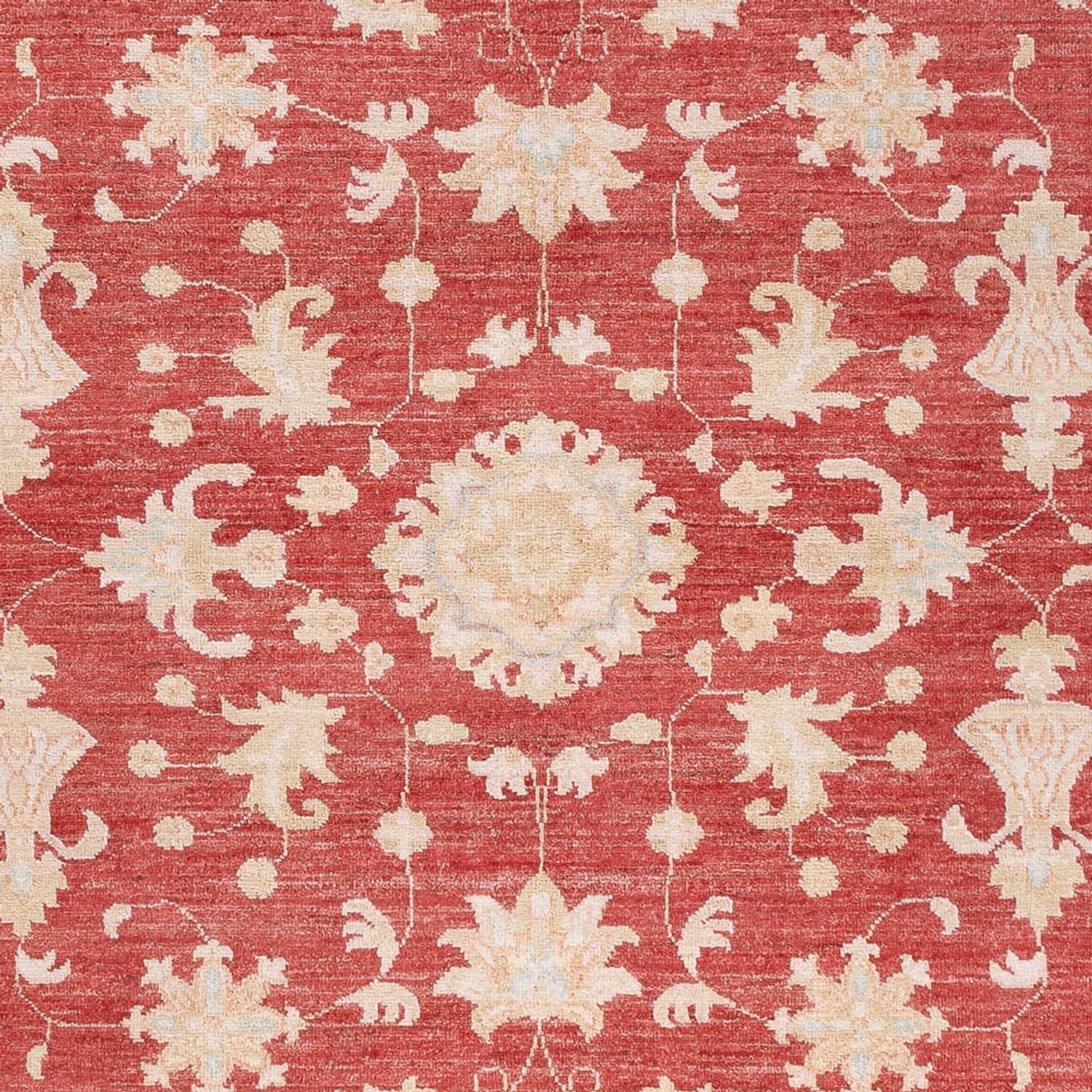 Ziegler Teppich - 227 x 172 cm - rot
