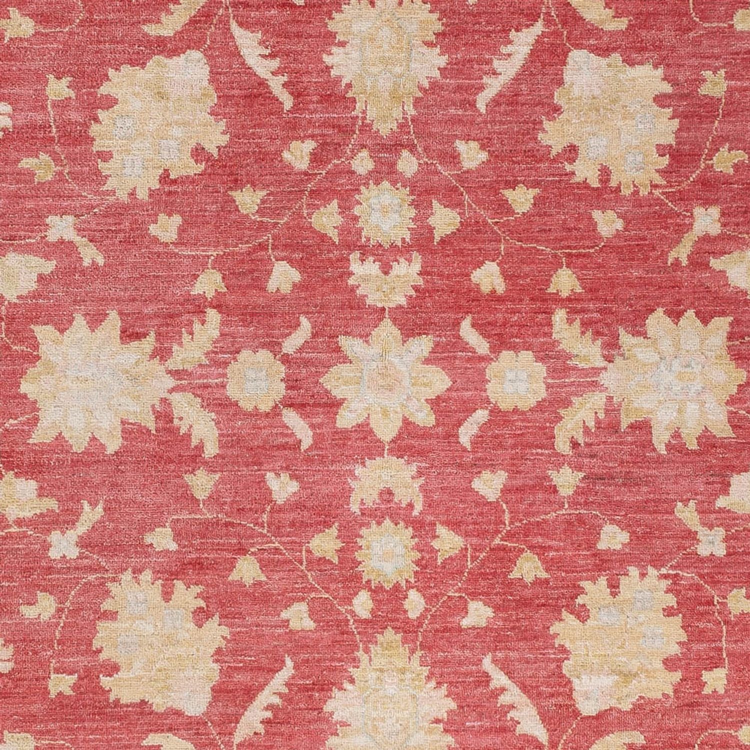 Ziegler Teppich - 234 x 169 cm - rot