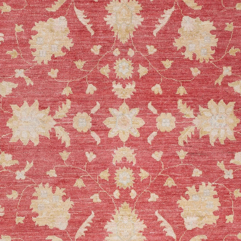 Ziegler Teppich - 234 x 169 cm - rot