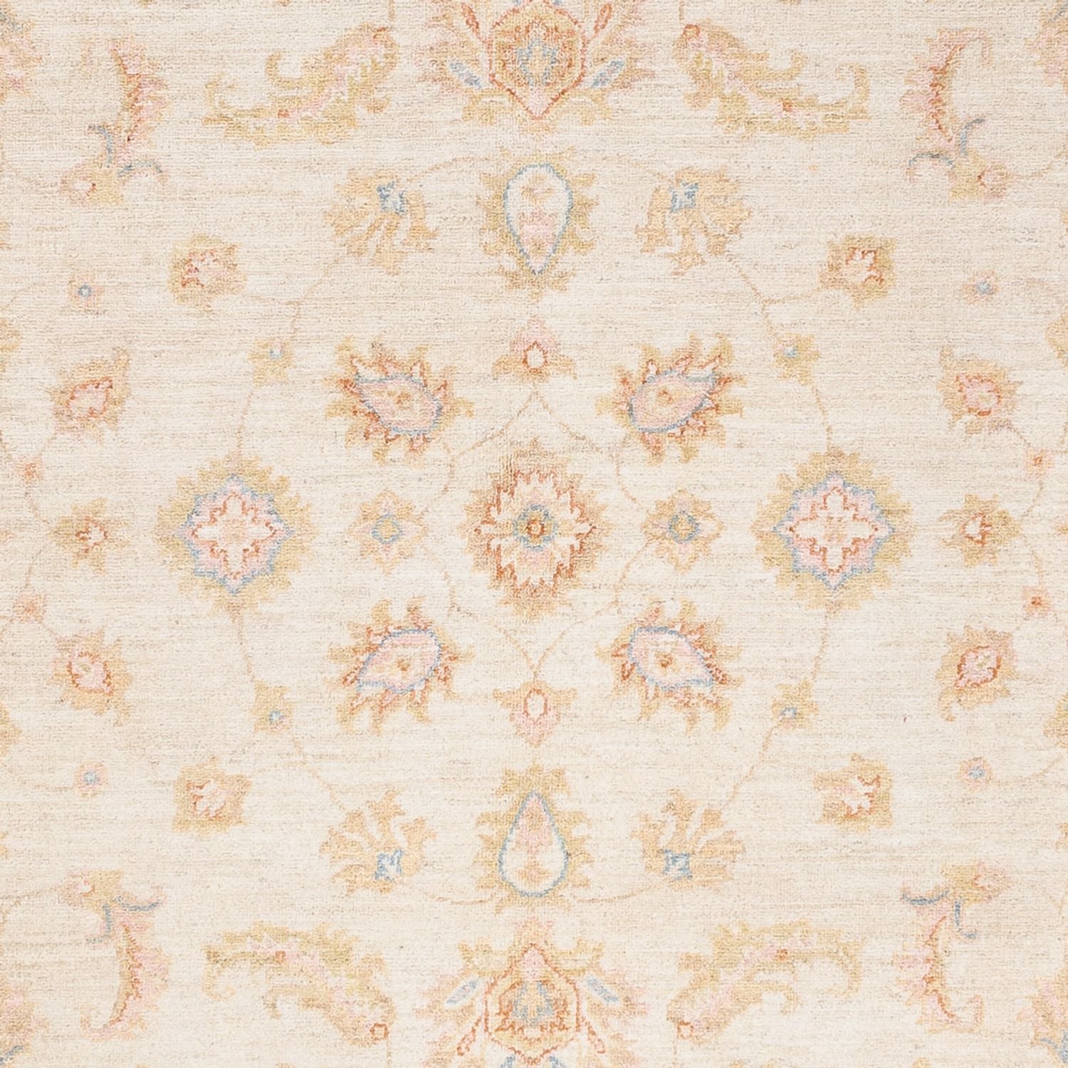 Ziegler Teppich - 238 x 173 cm - creme