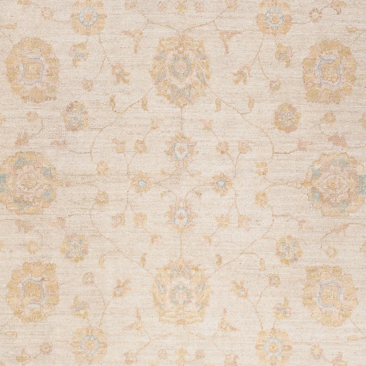 Ziegler Teppich - 243 x 171 cm - creme