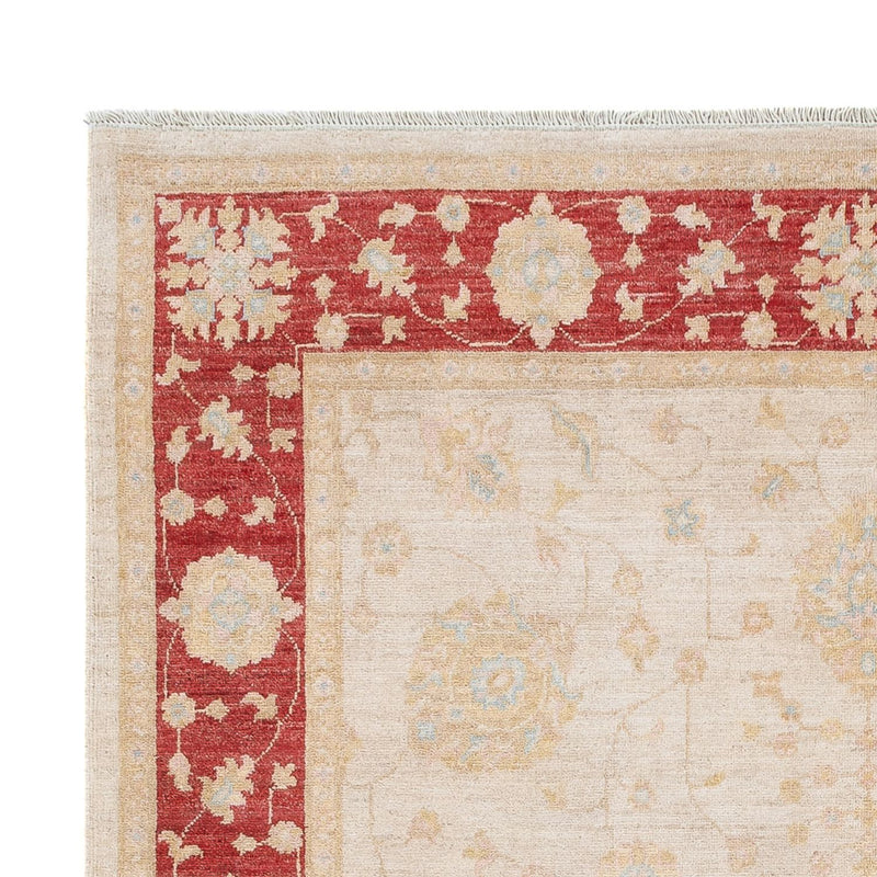 Ziegler Teppich - 243 x 171 cm - creme