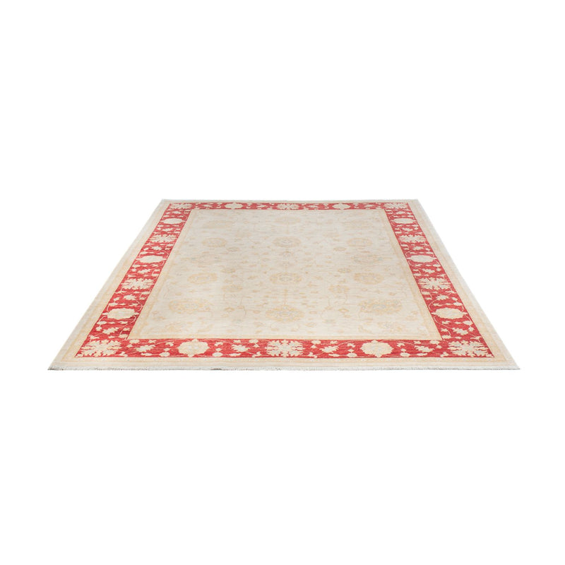Ziegler Teppich - 243 x 171 cm - creme