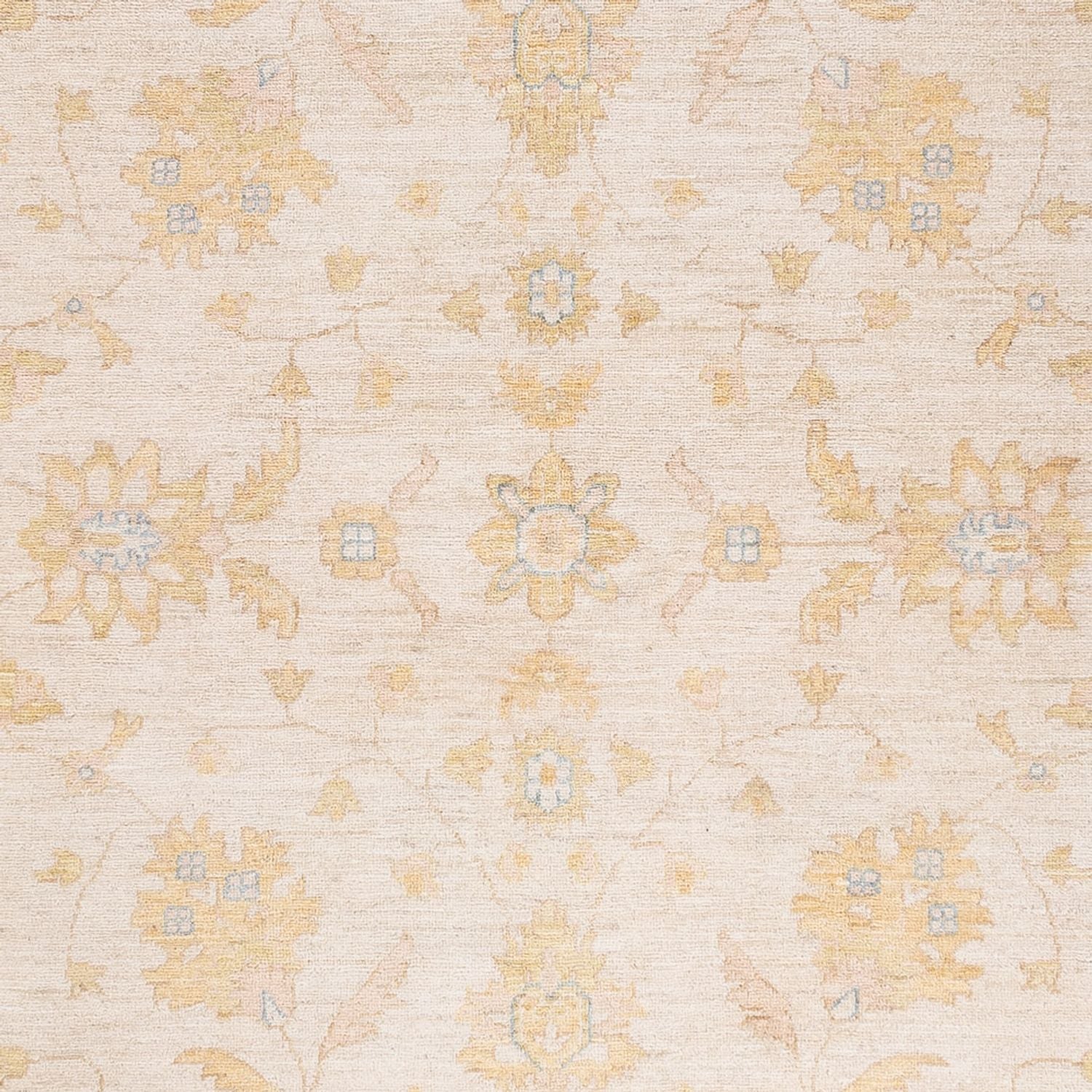 Ziegler Teppich - 240 x 178 cm - creme