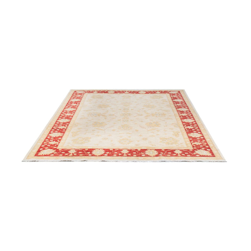 Ziegler Teppich - 240 x 178 cm - creme