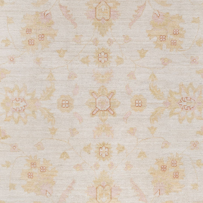Ziegler Teppich - 250 x 171 cm - creme
