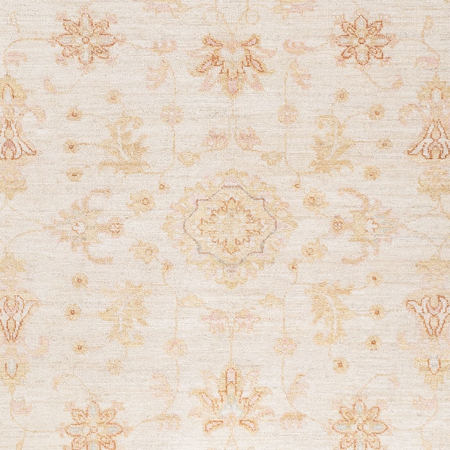 Ziegler Teppich - 238 x 172 cm - creme