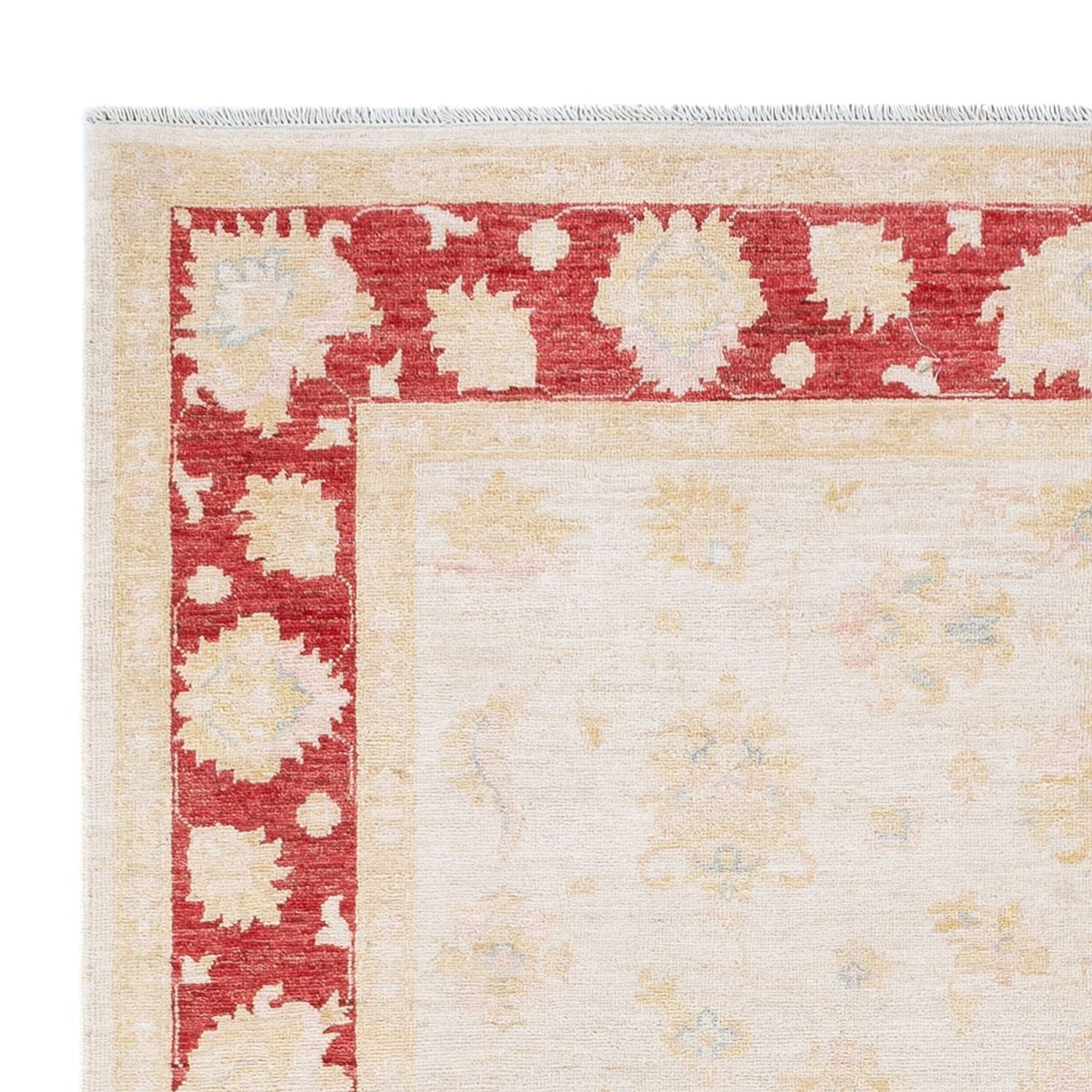 Ziegler Teppich - 242 x 175 cm - creme
