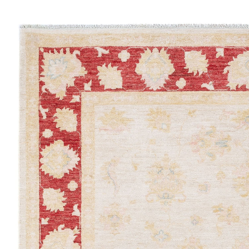 Ziegler Teppich - 242 x 175 cm - creme
