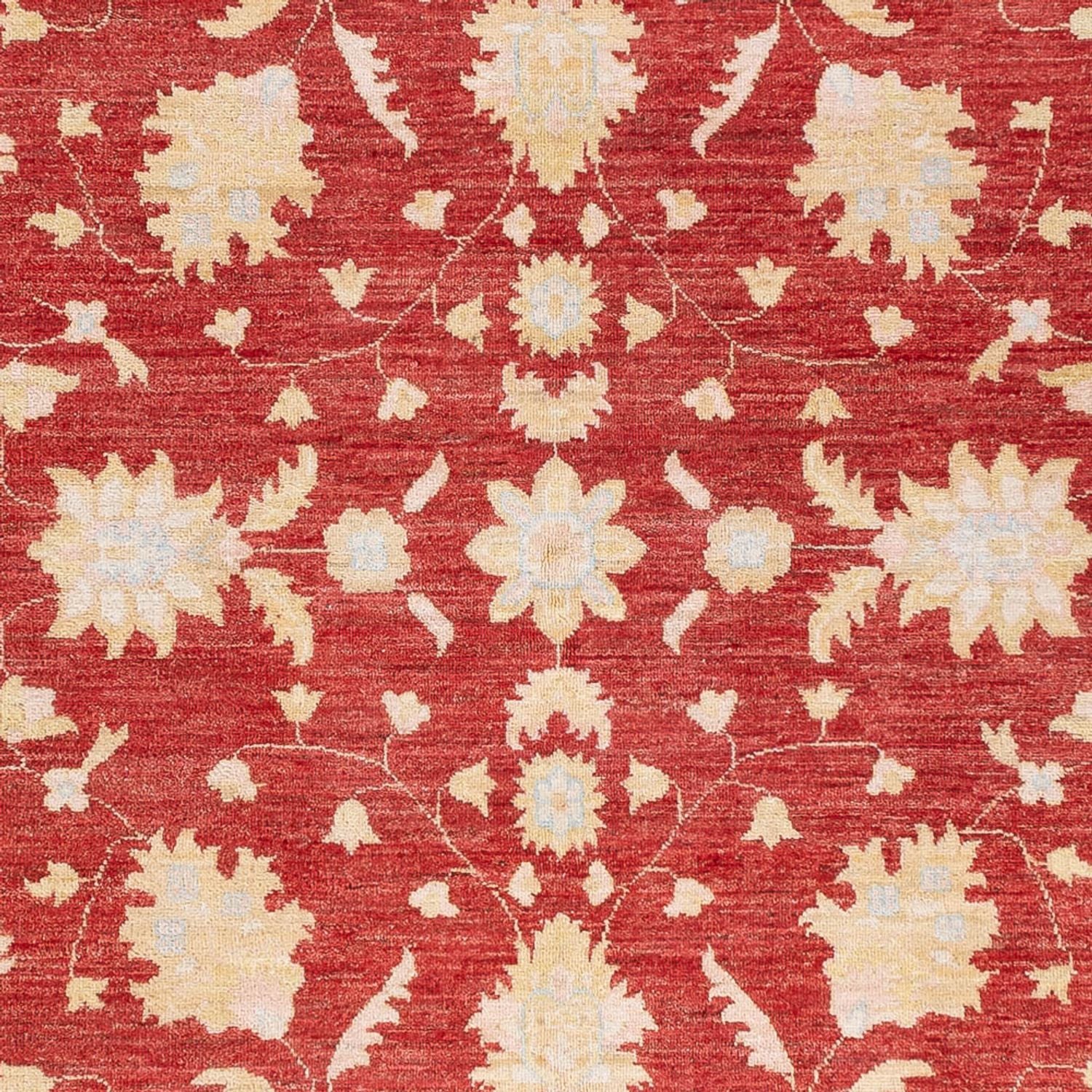 Ziegler Teppich - 234 x 172 cm - rot