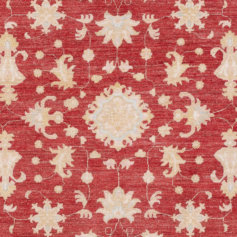 Ziegler Teppich - 239 x 177 cm - rot