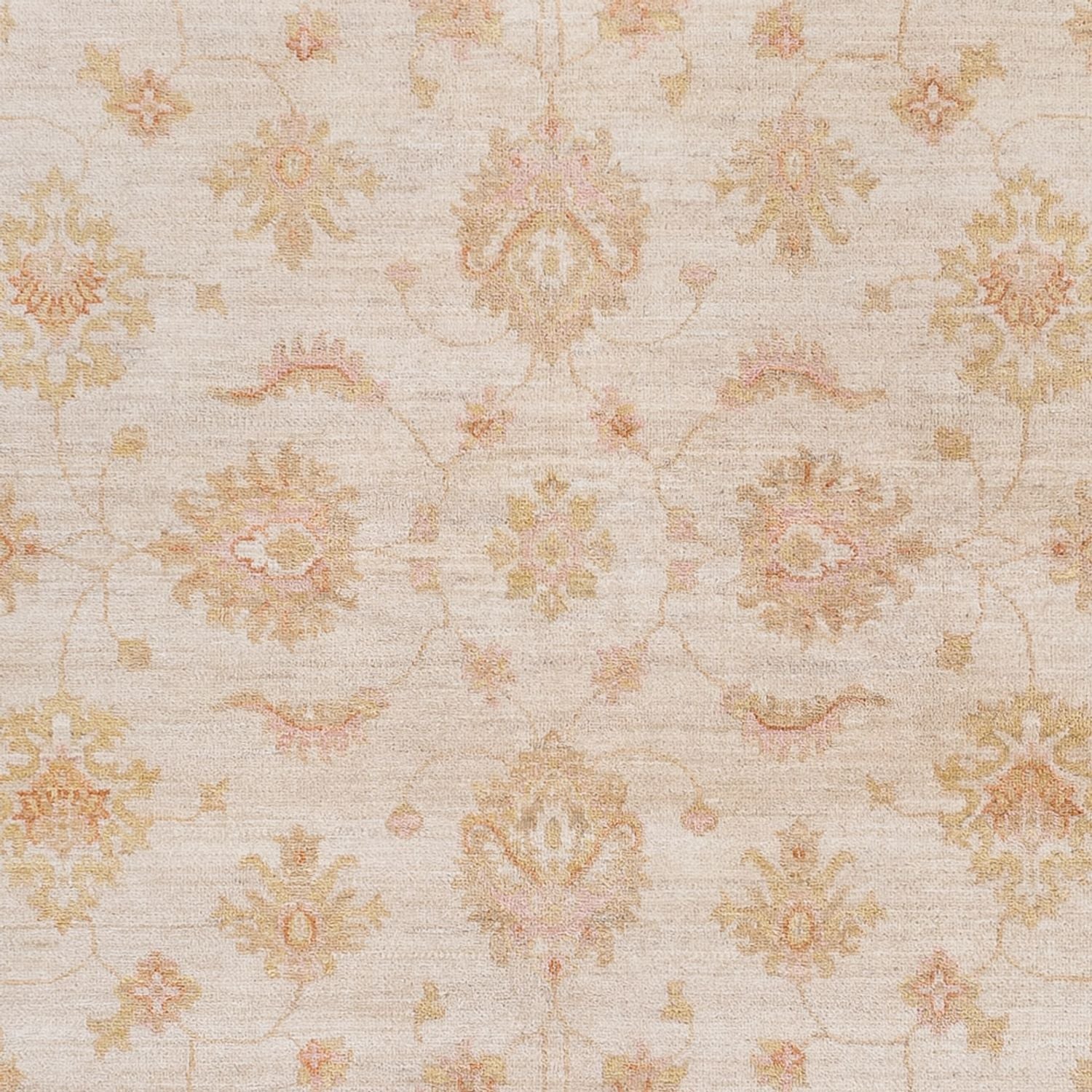 Ziegler Teppich - 238 x 170 cm - creme