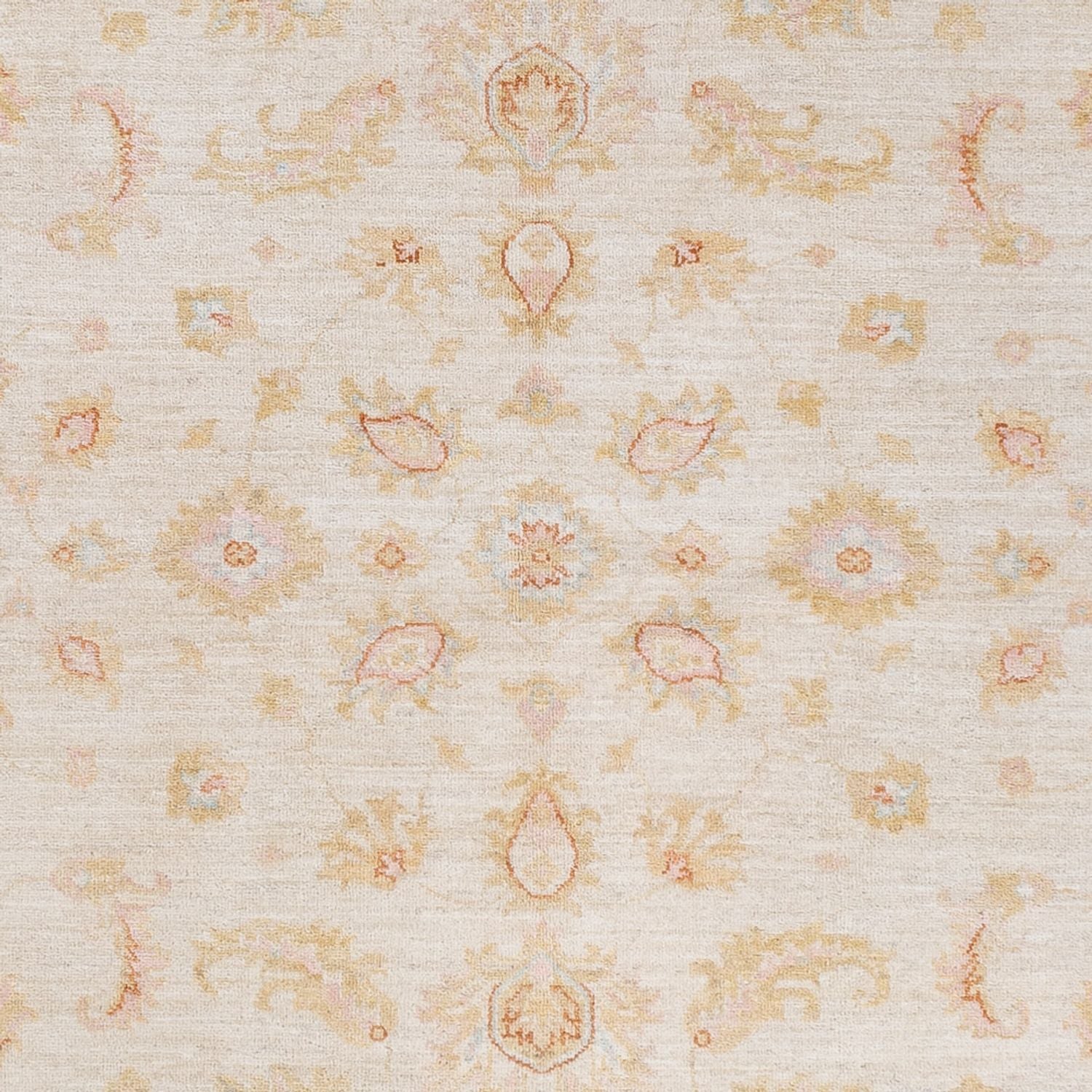 Ziegler Teppich - 245 x 173 cm - creme