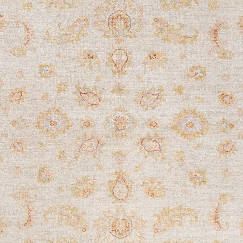 Ziegler Teppich - 245 x 173 cm - creme