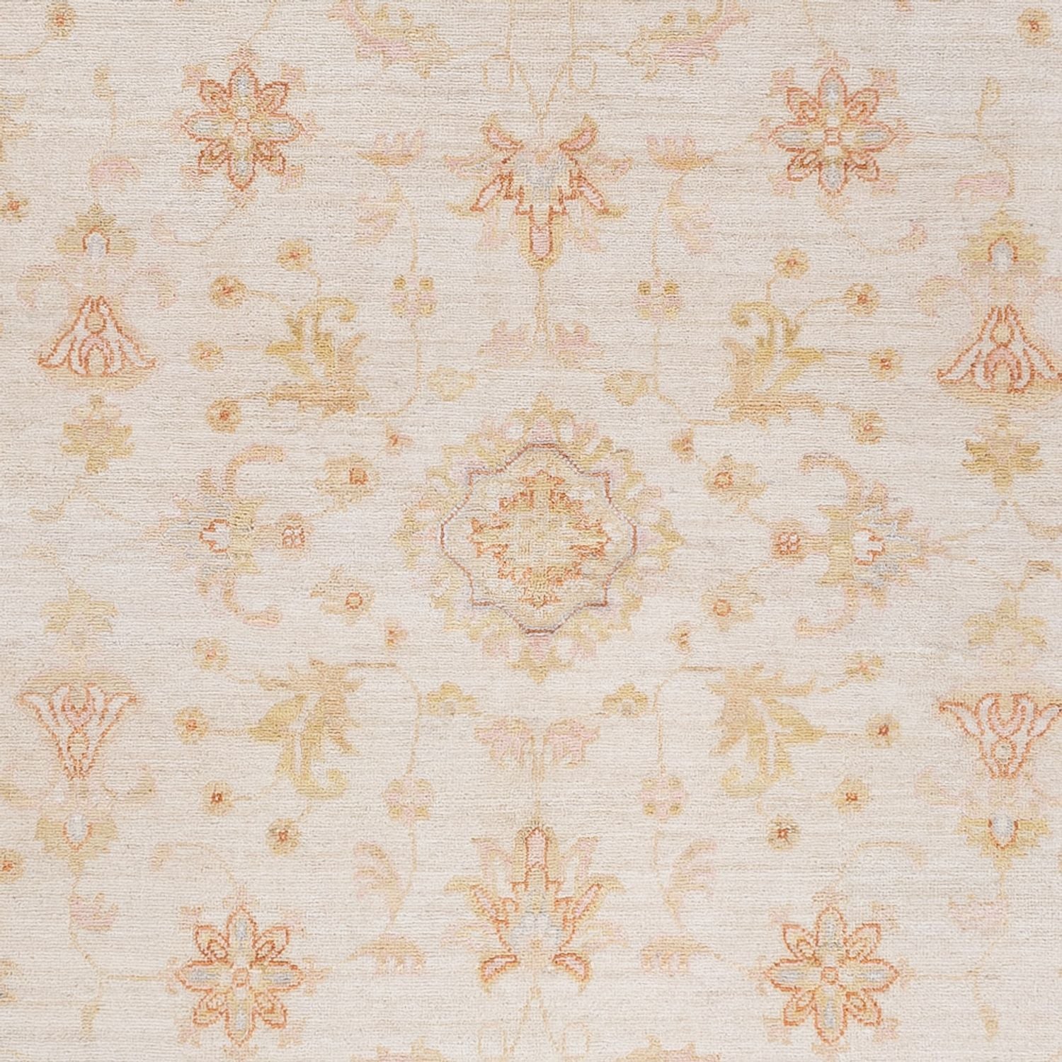 Ziegler Teppich - 241 x 175 cm - creme